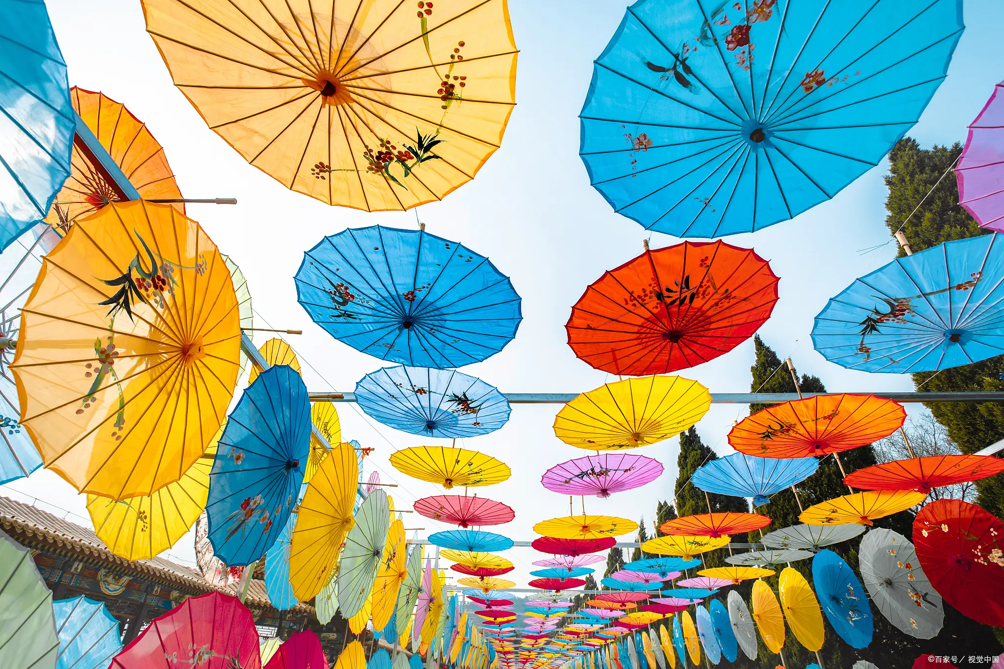 博易大师纳牛_纳牛博易大师手机版_博易大师纳牛免费版账号