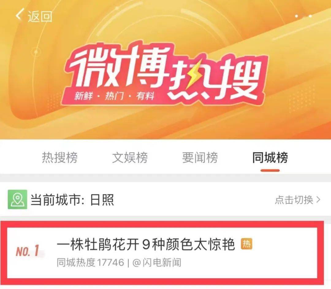 新浪微博官方网_新浪微博官网_新浪官网微博登录