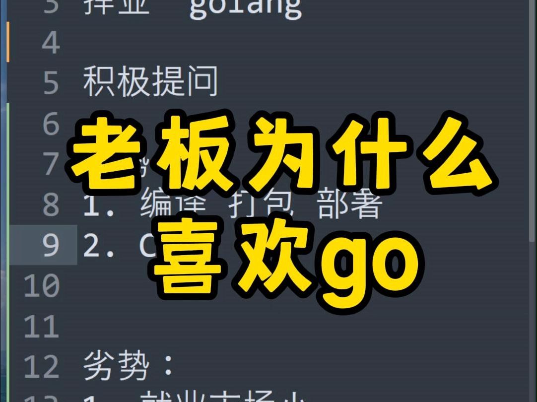 游戏软件程序员_程序游戏_程序员手机游戏