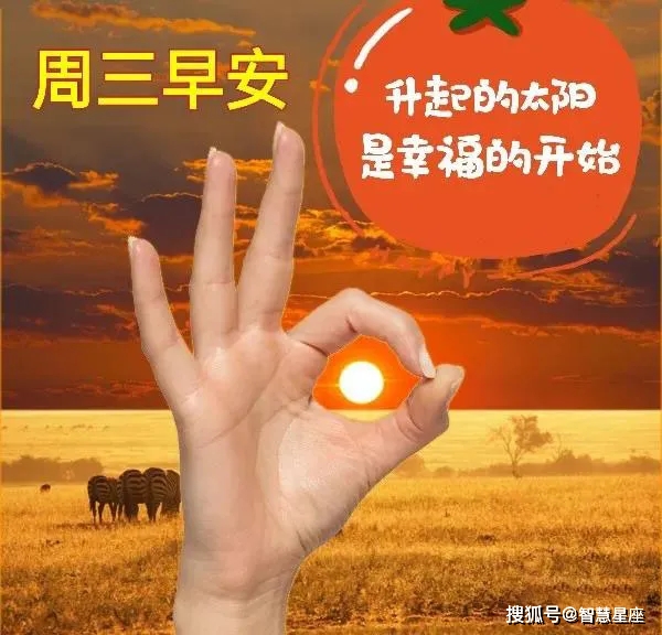 织夏是什么意思_夏织lofter_石原夏织