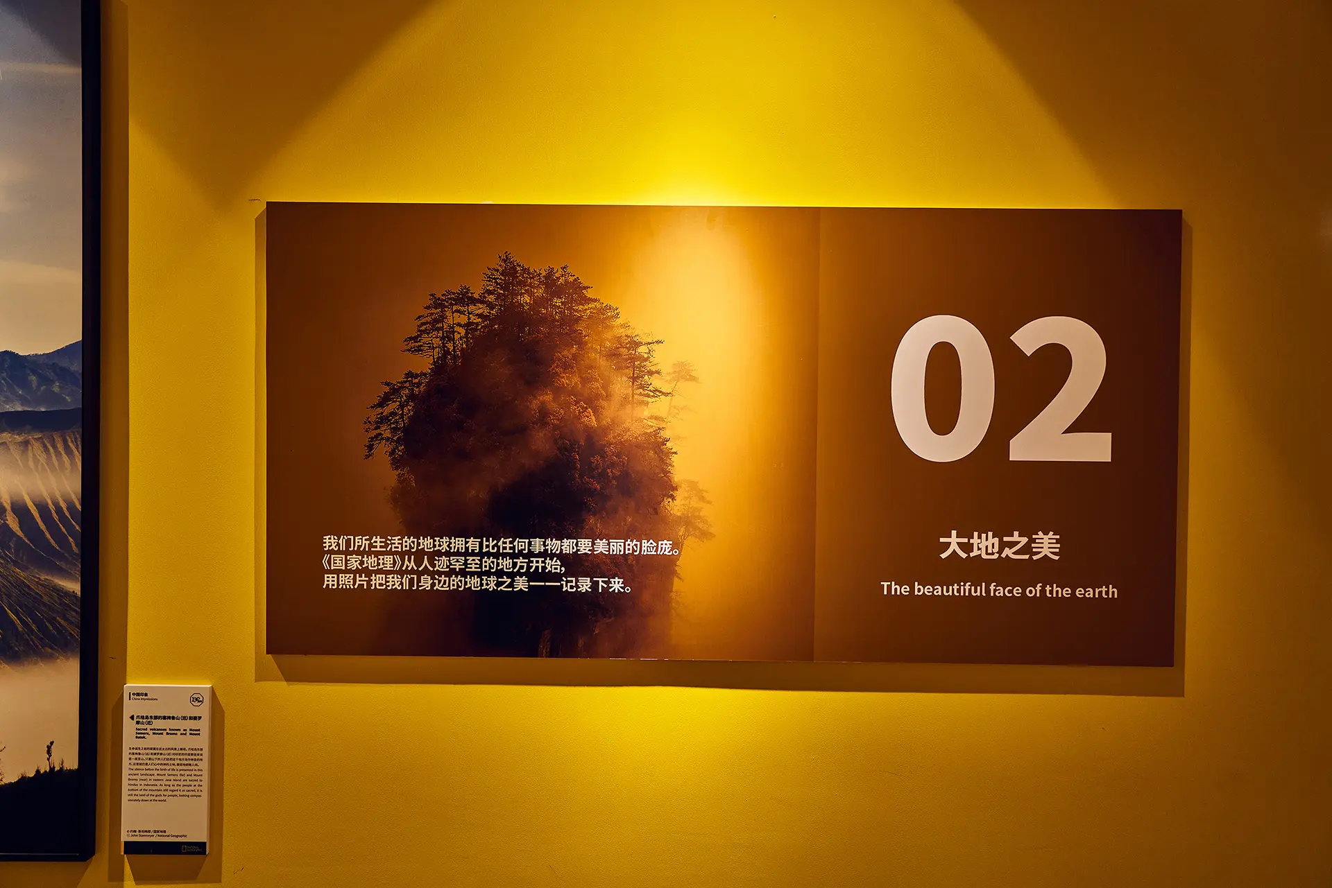 阿凡达游戏安卓手机版_阿凡达游戏安卓_阿凡达游戏手机版下载