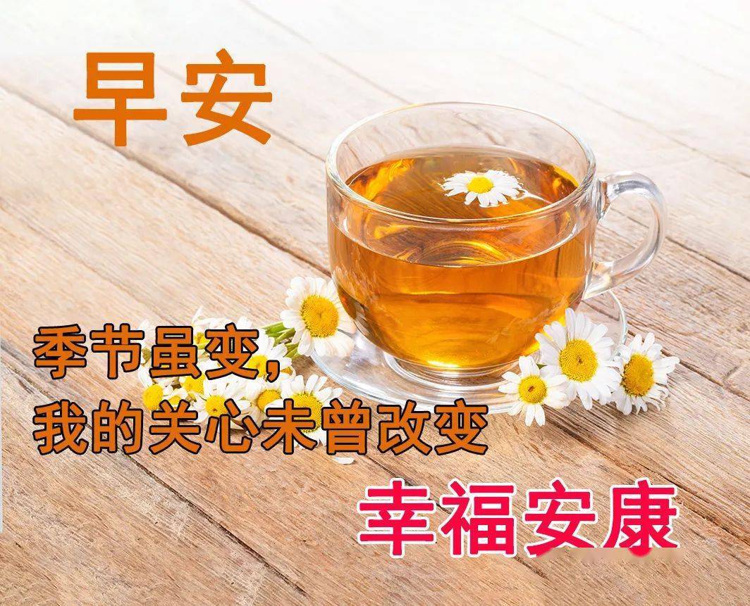 漆黑的追踪者_漆黑的追踪者开头_漆黑的追踪者打斗