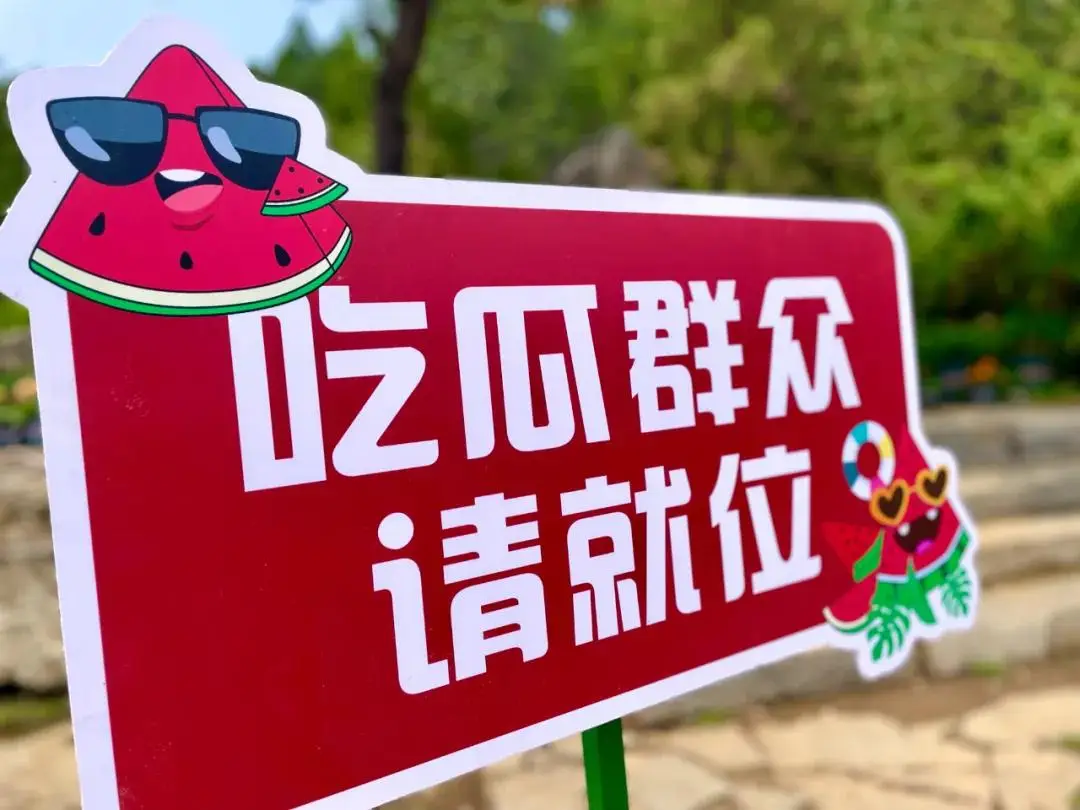 冰西瓜投手_冰西瓜投手怎么样_冰西瓜投手视频