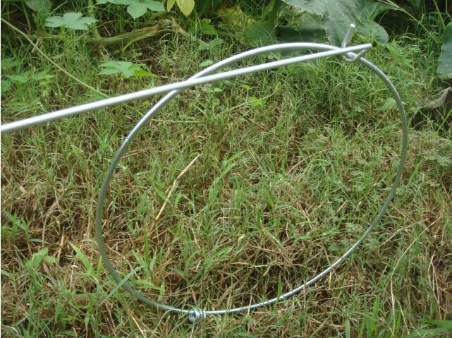 沉迷手机游戏致死_致死沉迷手机游戏视频_沉迷游戏死亡