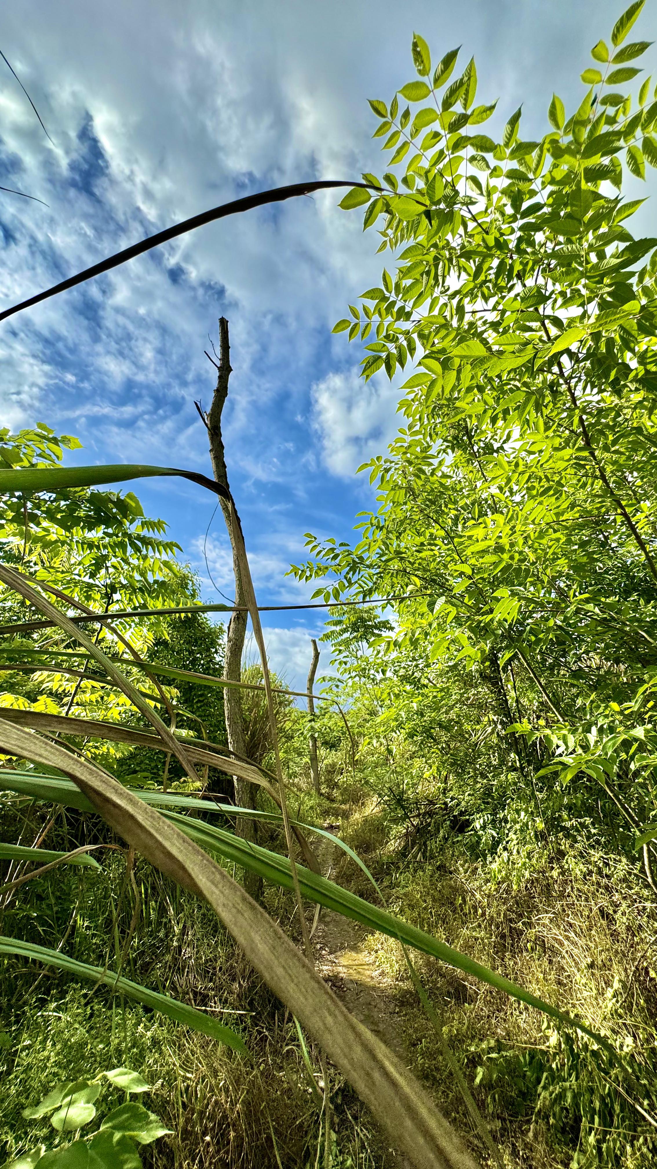 弓道_五轮馆(剑道弓道)_乡射礼弓道