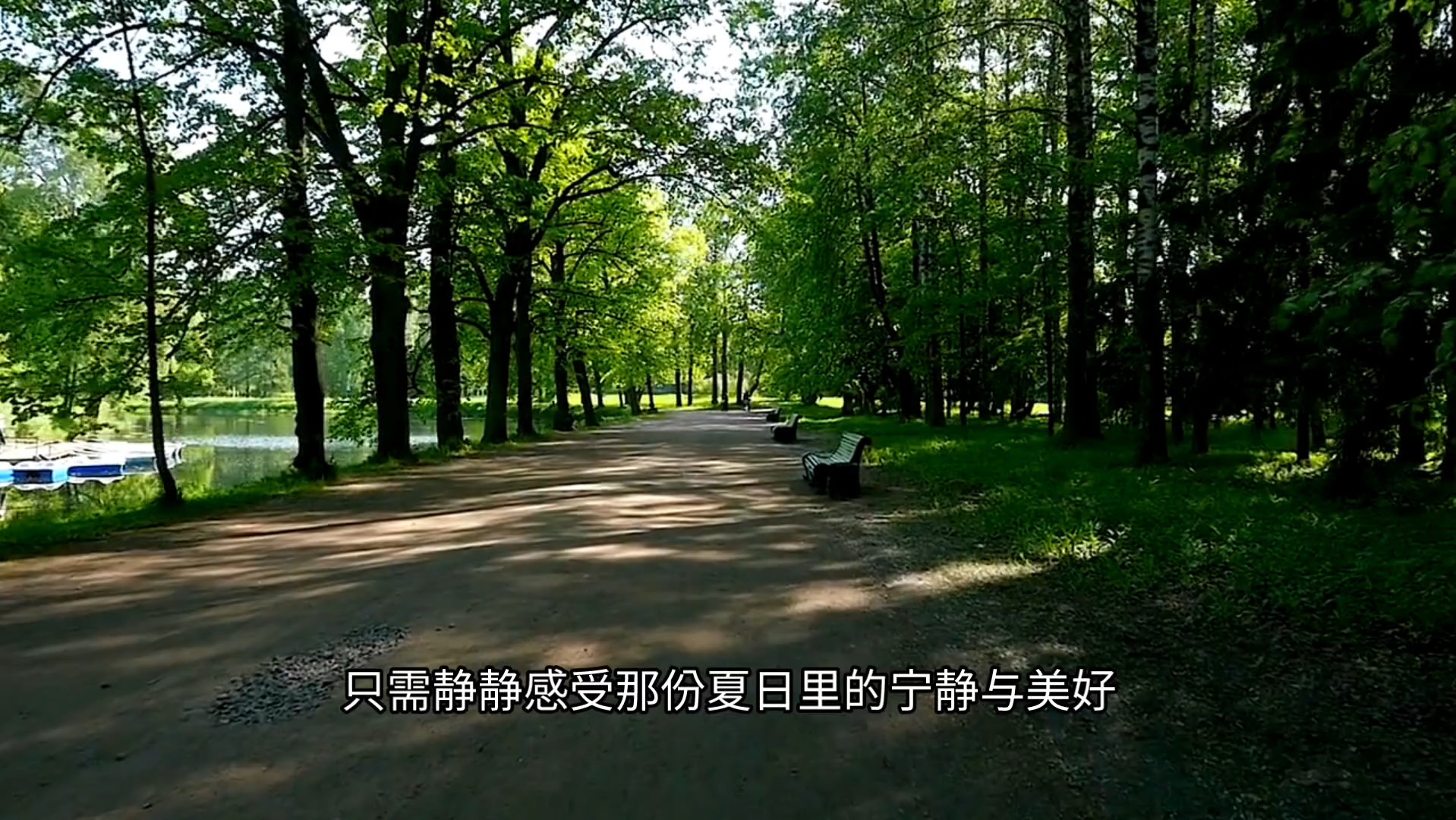 乡射礼弓道_五轮馆(剑道弓道)_弓道