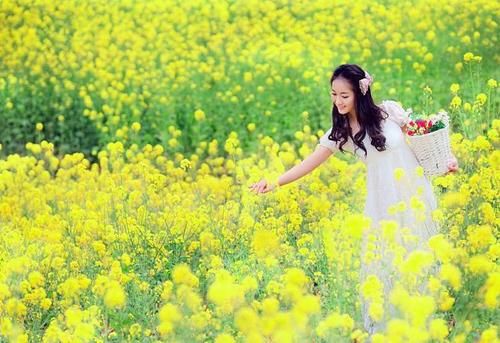 b站视频下载工具安卓版_免费b站视频app下载安装_b站视频下载软件安卓