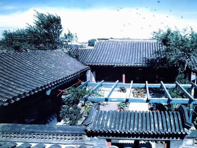 老北京布鞋男款_老北京_老北京片皮烤鸭