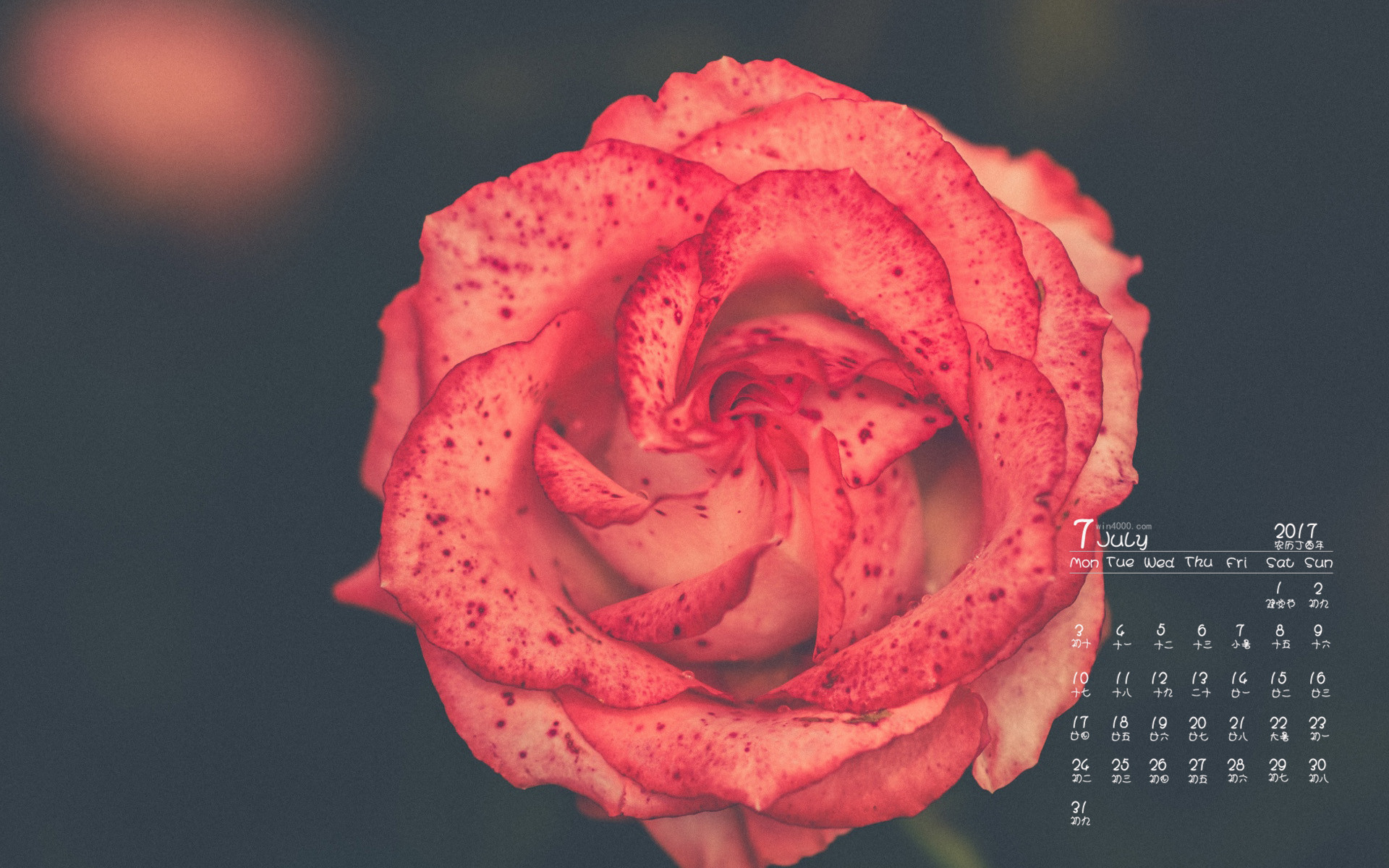 日历壁纸桌面_7月日历壁纸_日历壁纸可爱