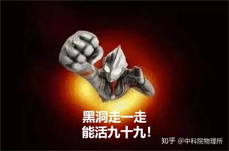 蟹蛛图片_蟹蛛_蟹蛛昆虫档案