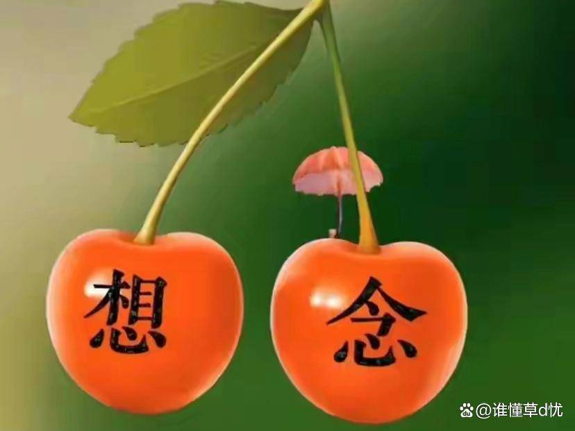 艾莉丝_艾莉丝格雷拉特_美雪艾莉丝