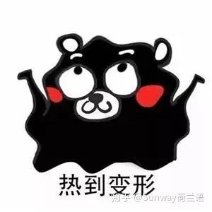 知天气+温州网_知天气_知天气温州网