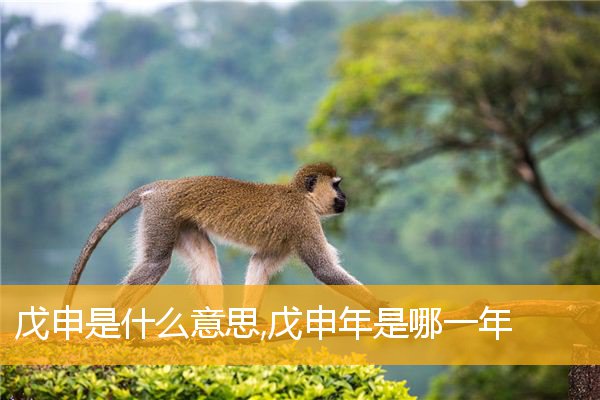 己酉年好不好_己酉年是什么意思_己酉年是哪一年