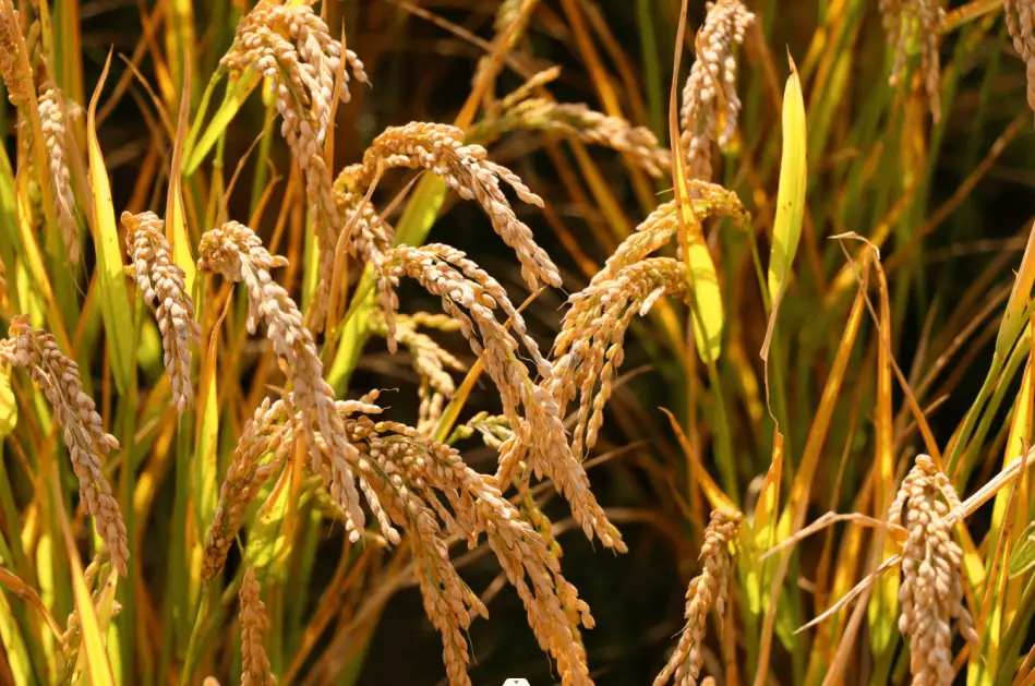 品色堂永远免费的论坛_品色免费论坛_品色坛免费论坛