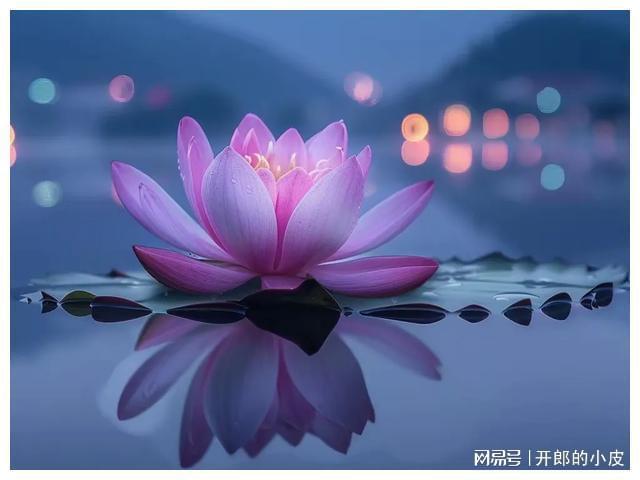 拓芙_拓芙小说_拓芙和谁结婚