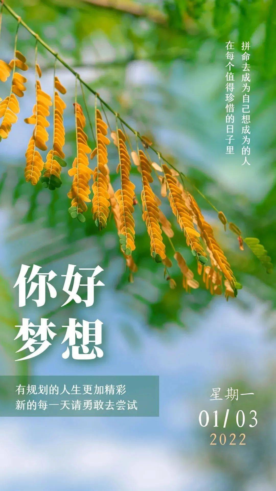 获取当前月份js_获取当前月份的天数_获取当前月份