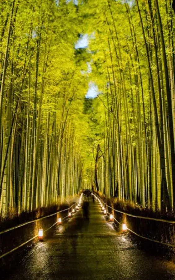 暴雪重置的密码是多少啊_重置暴雪手机游戏怎么玩_暴雪游戏手机重置