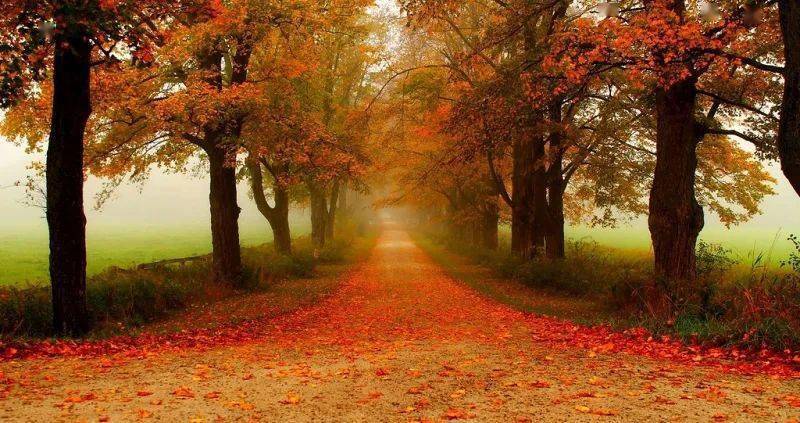 莉赛特汉化组_莉赛特蓝宝石_莉赛特