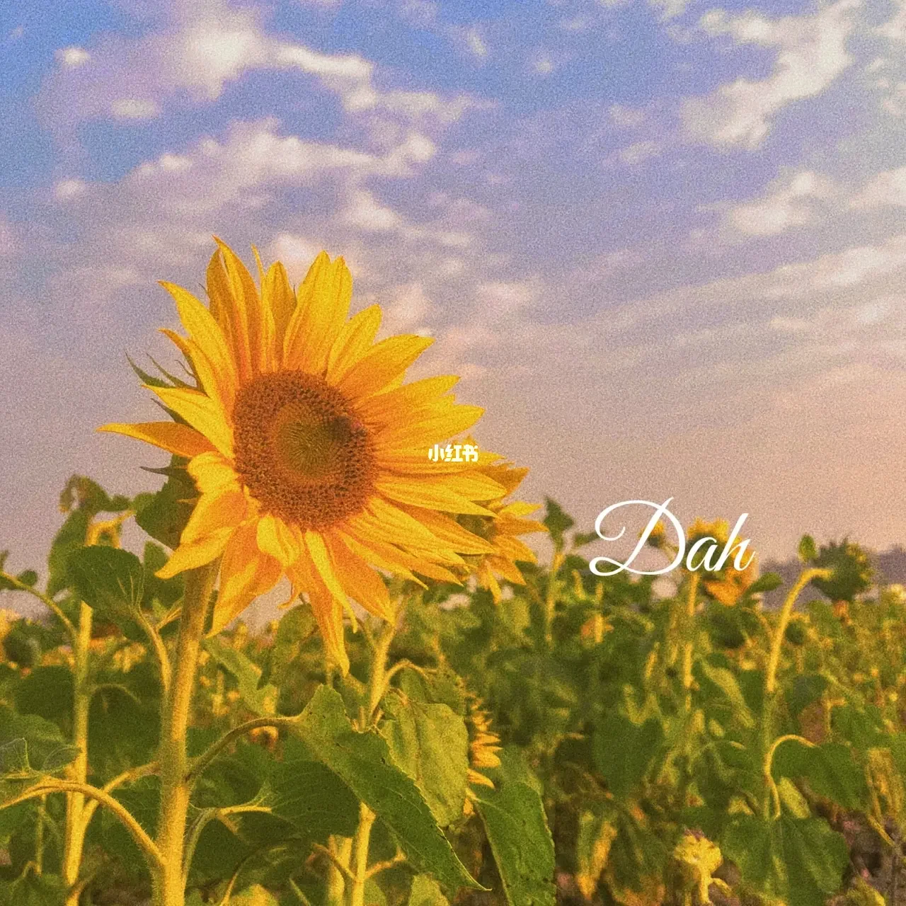 钉钉直播回放保存多久_钉钉直播回放如何永久保存_钉钉直播回放保存到钉盘