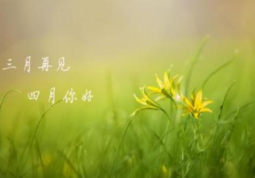 月日是什么日子_3月4日是什么日子?_日月日子