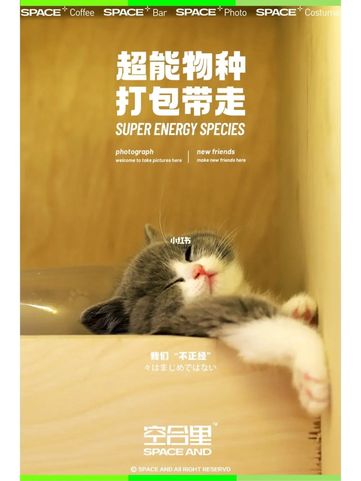 超萌宠物休闲手机游戏，带你走进欢乐的虚拟宠物乐园