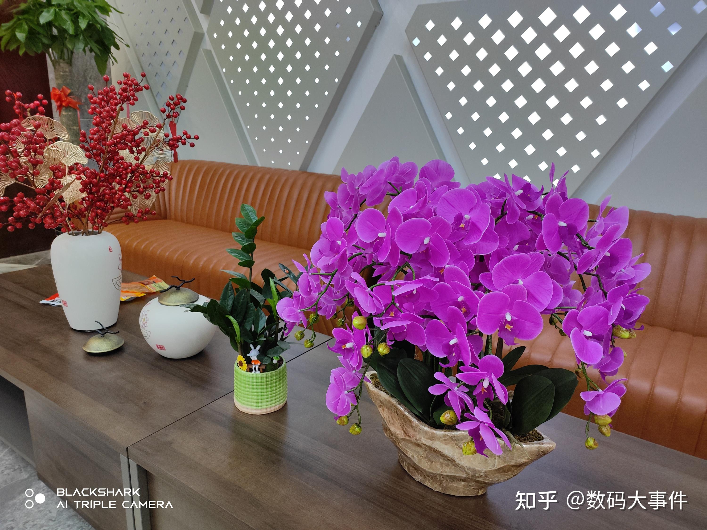 带屏的游戏手机推荐知乎_知乎好玩的手机游戏_知乎游戏手机