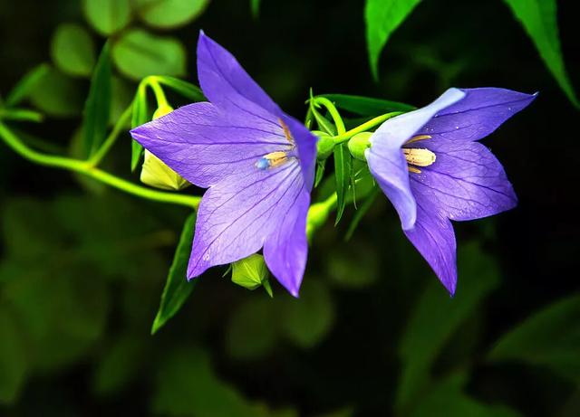 花亭湖_此花亭_此花亭