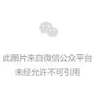 看见没有_看见没有壳的蜗牛是什么兆头_你什么都没看见
