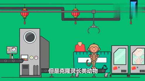 无限猴子定理_无限猴子理论的漏洞_无限猴子定理什么意思