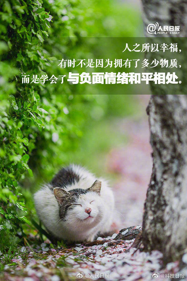 客观不可以-抛开客观束缚，拥抱真真切切的情绪，让生活充满乐趣