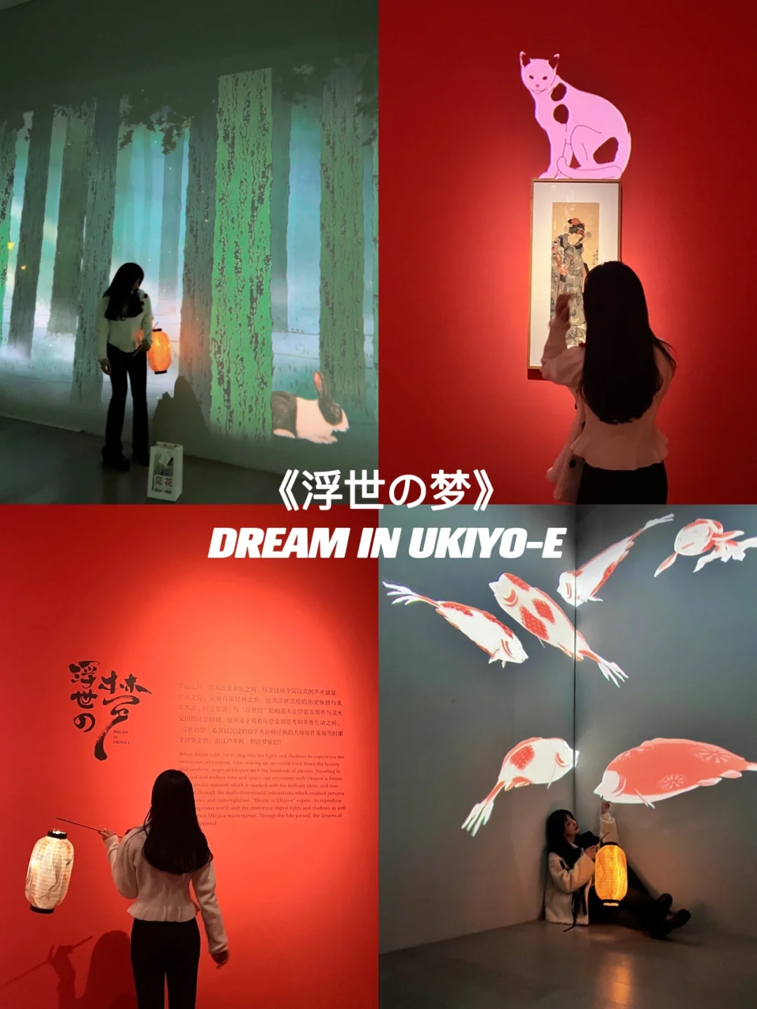 投影全息打手机游戏用什么软件_投影全息打手机游戏用什么模式_不用全息投影打游戏的手机