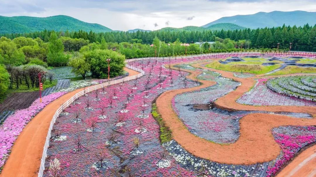 宝马跑车视频大全图片_奔跑宝马游戏机下载手机版_奔池宝马游戏
