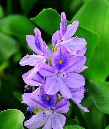 教牛马_教牛马_教牛马