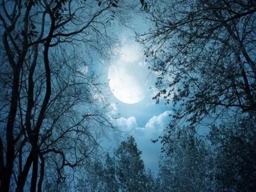 农历四月十五_农历四月十五_农历四月十五