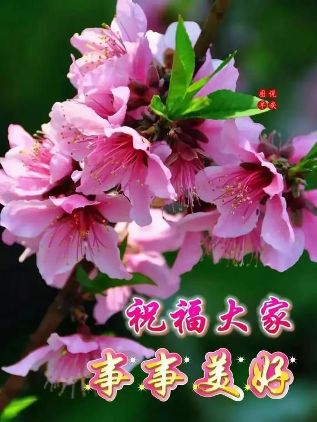手机游戏文件夹怎么找_手机游戏网站_wp手机游戏