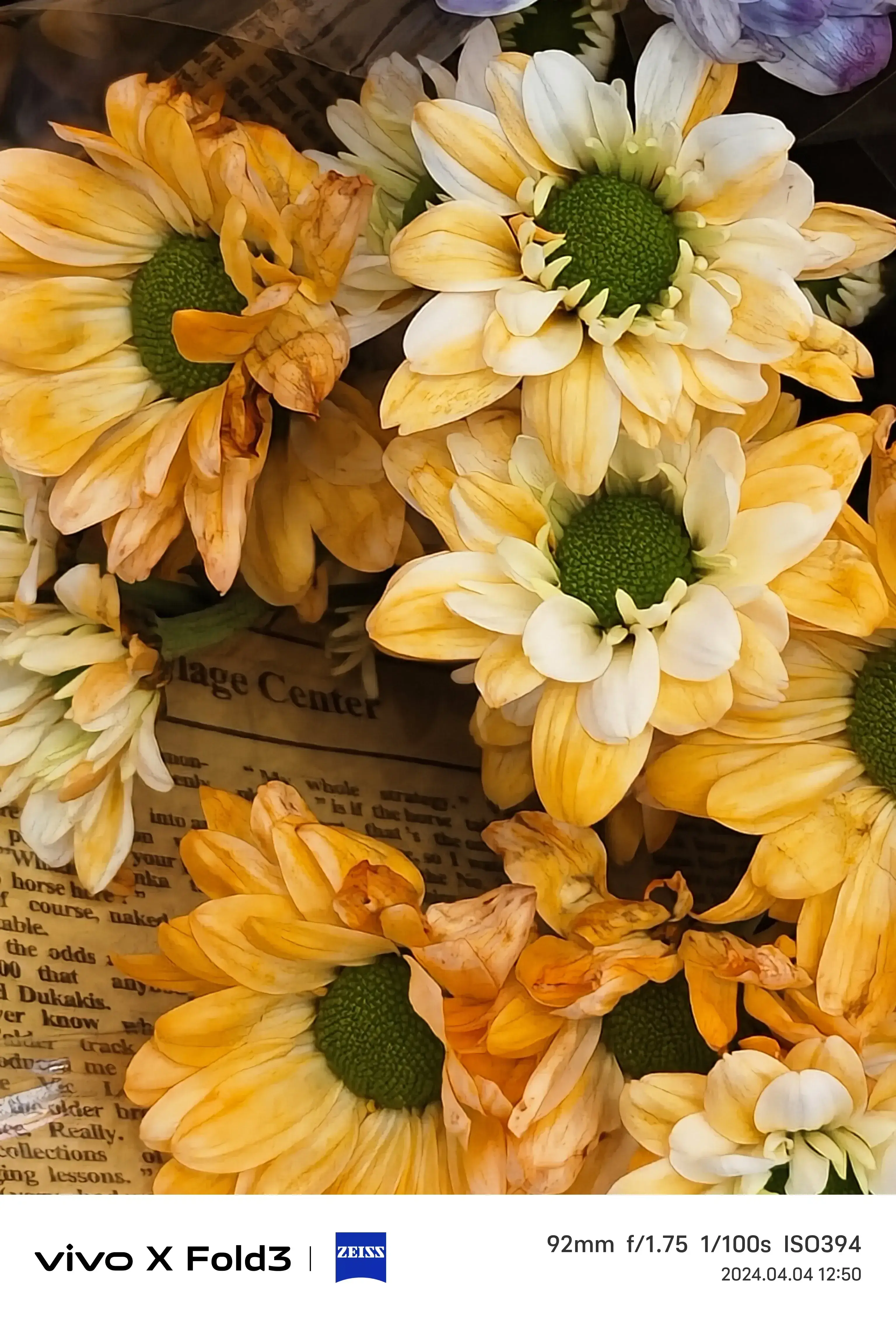 测试手机游戏性能的游戏_测试手机游戏帧数的app_vivoy3手机游戏测试