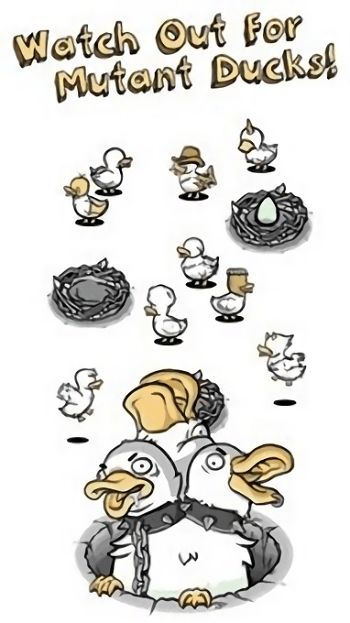 怪鸭游戏,趣味与策略并存的全新互动体验