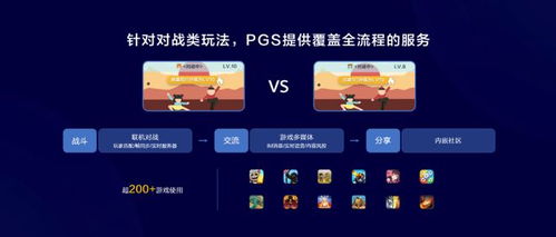 游戏运营开发,游戏运营与开发全流程解析