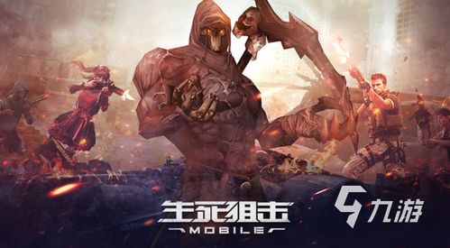 火影火的意志 