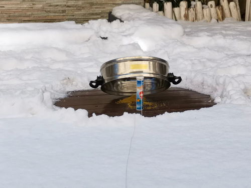 游戏扣麻雀,一场智慧与策略的巅峰对决