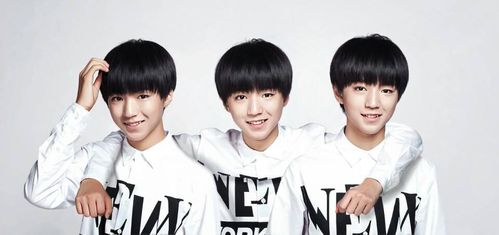 王俊凯动态壁纸主题 