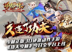 金庸游戏少林,武林至尊之路