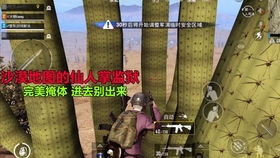 冰糖姐游戏,解锁无尽乐趣