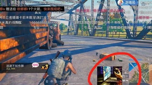 打油条游戏,趣味游戏中的智慧与策略对决