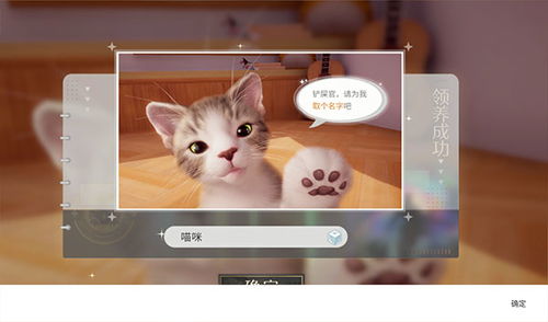 猫咪我游戏,探索奇幻冒险之旅
