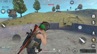 挡子弹游戏,勇者无畏的极限挑战