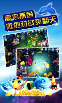 釆贝游戏,探索海洋宝藏的欢乐冒险之旅