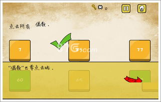 数19游戏,揭秘数字背后的神秘世界