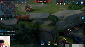 牛眼泪游戏,探寻情感与记忆交织的奇幻旅程