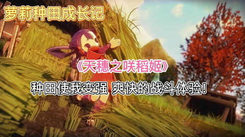 种田女生游戏,种田女生的幸福田园生活